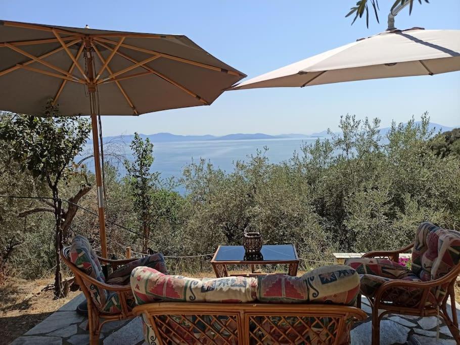 Pelion Mountain & Sea Villa - Private Studio Ano Gatzea Exterior photo