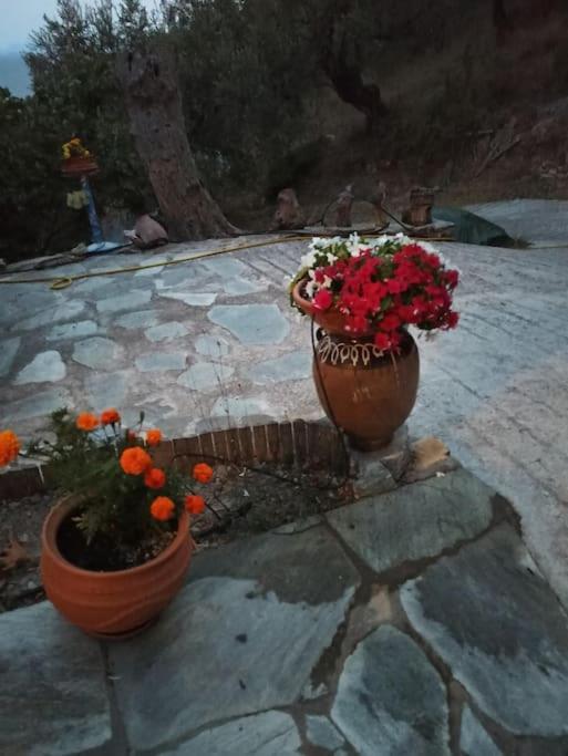 Pelion Mountain & Sea Villa - Private Studio Ano Gatzea Exterior photo