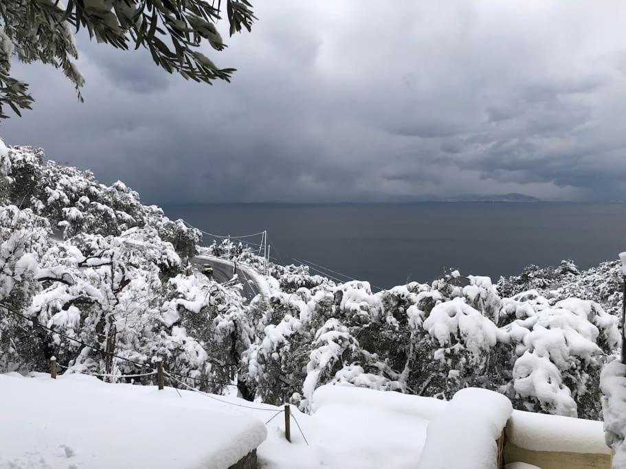 Pelion Mountain & Sea Villa - Private Studio Ano Gatzea Exterior photo