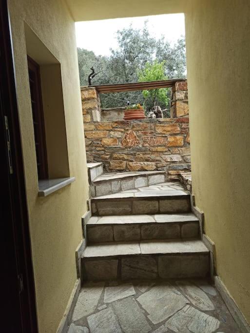Pelion Mountain & Sea Villa - Private Studio Ano Gatzea Exterior photo